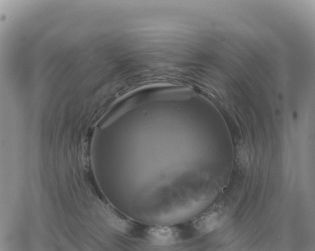 X0000061750181200512091645