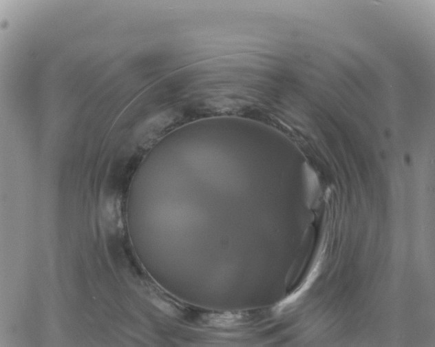 X0000061750182200512091645