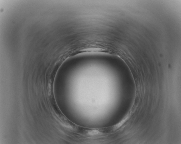 X0000061750183200512091645