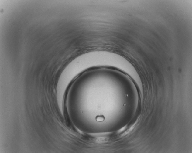 X0000061750184200512091645