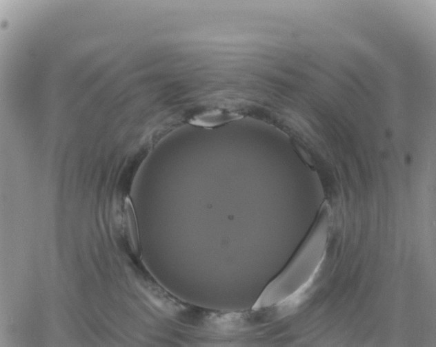 X0000061750186200512091645