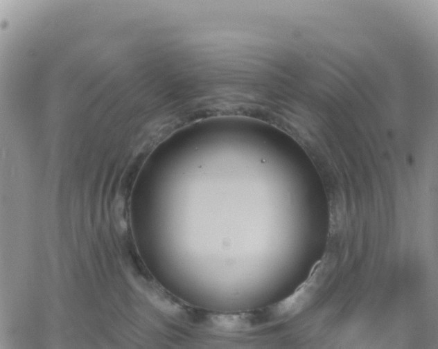 X0000061750187200512091645