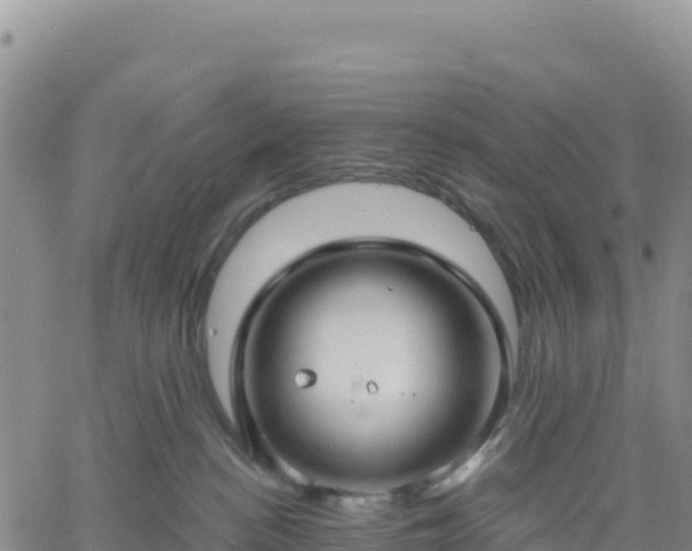 X0000061750188200512091645