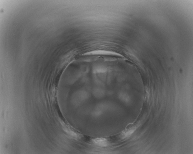 X0000061750189200512091645