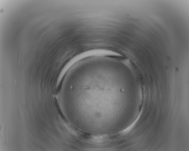 X0000061750190200512091645