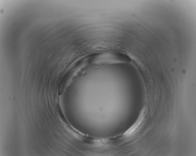 X0000061750192200512091645