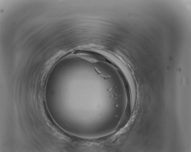 X0000061750193200512091644