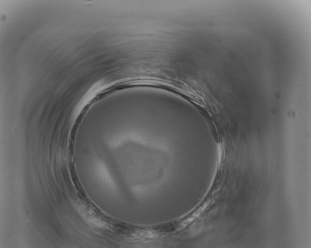 X0000061750195200512091644