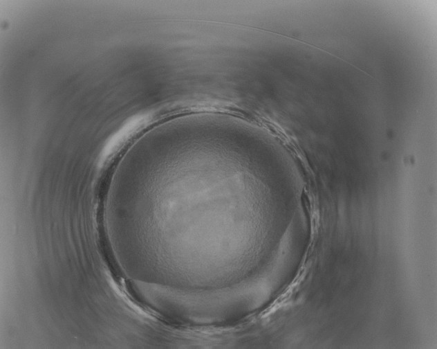 X0000061750197200512091644