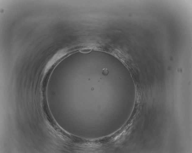 X0000061750198200512091644