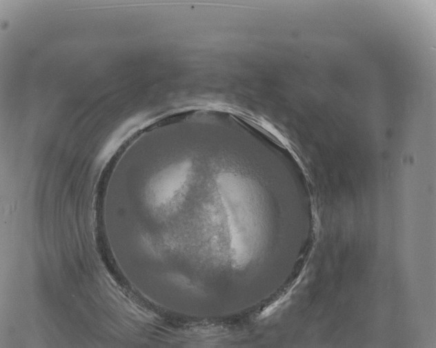 X0000061750199200512091644