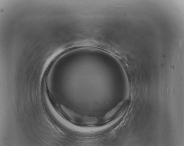 X0000061750200200512091644