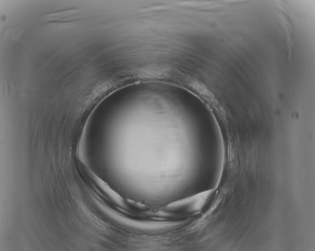 X0000061750201200512091644