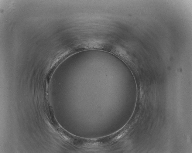 X0000061750202200512091644