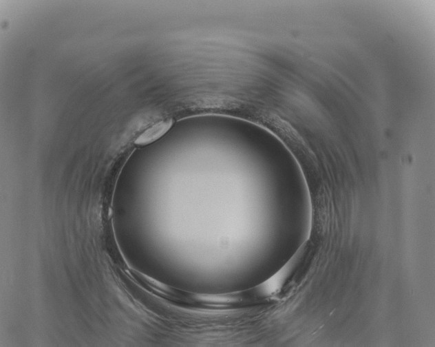 X0000061750207200512091644