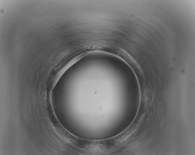 X0000061750209200512091644