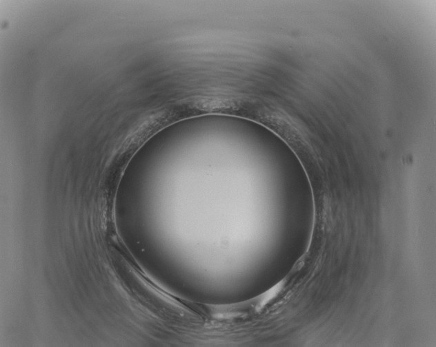 X0000061750210200512091644