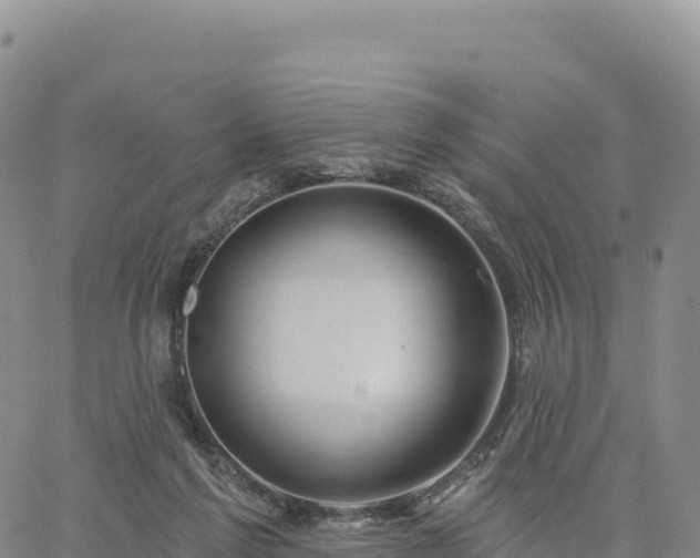 X0000061750213200512091644