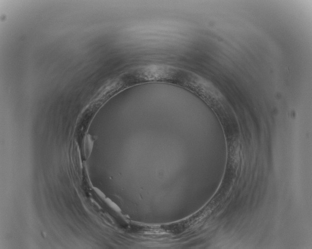 X0000061750214200512091644