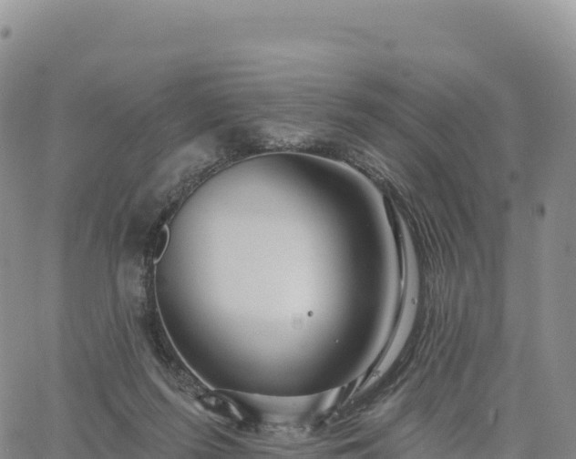 X0000061750215200512091644