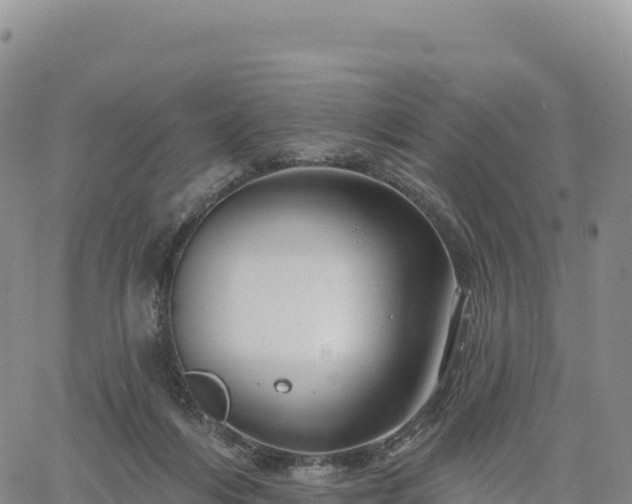 X0000061750216200512091644