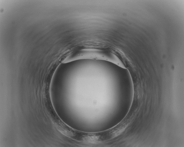 X0000061750217200512091644