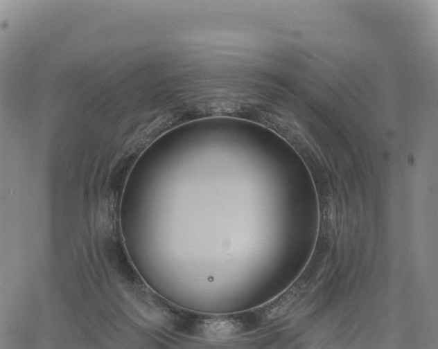 X0000061750218200512091644