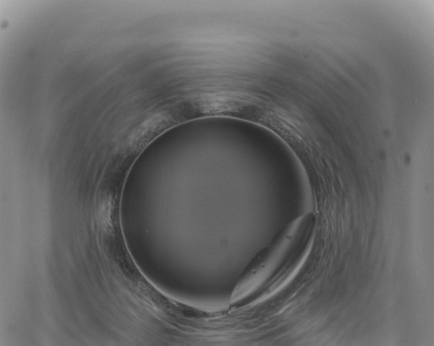 X0000061750219200512091644