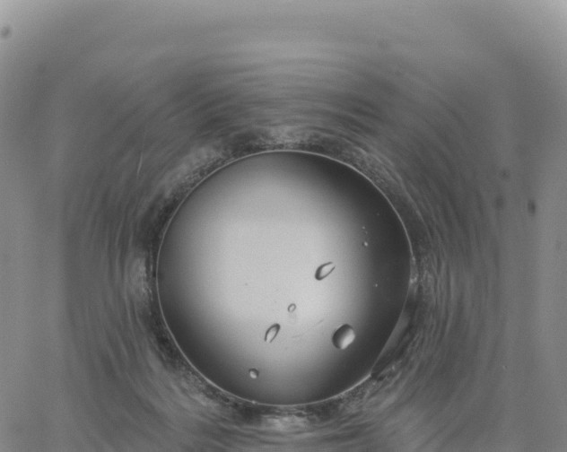 X0000061750220200512091644