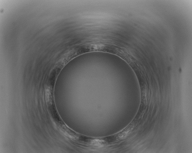 X0000061750222200512091644