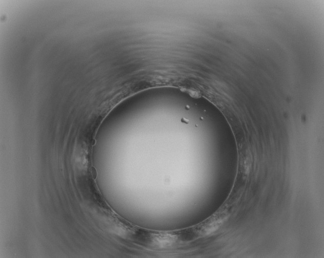 X0000061750226200512091644