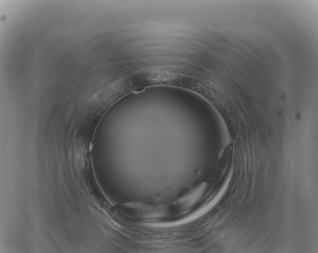 X0000061750227200512091644