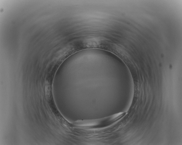 X0000061750228200512091644