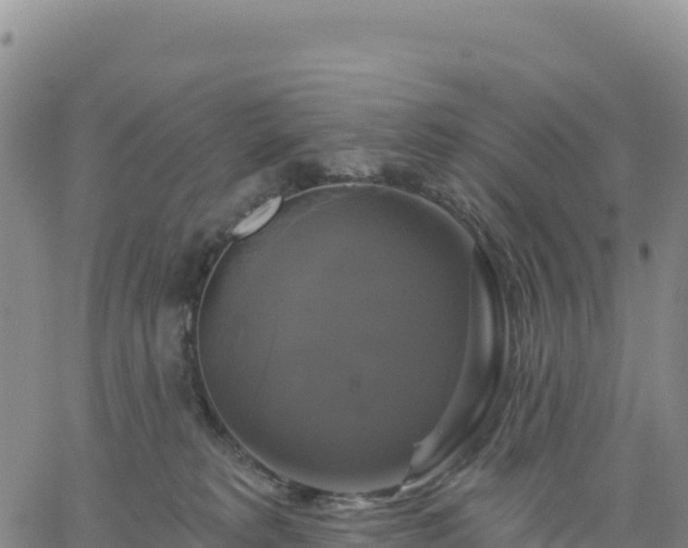 X0000061750229200512091644