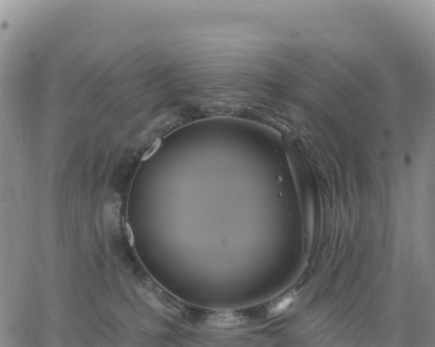 X0000061750231200512091644