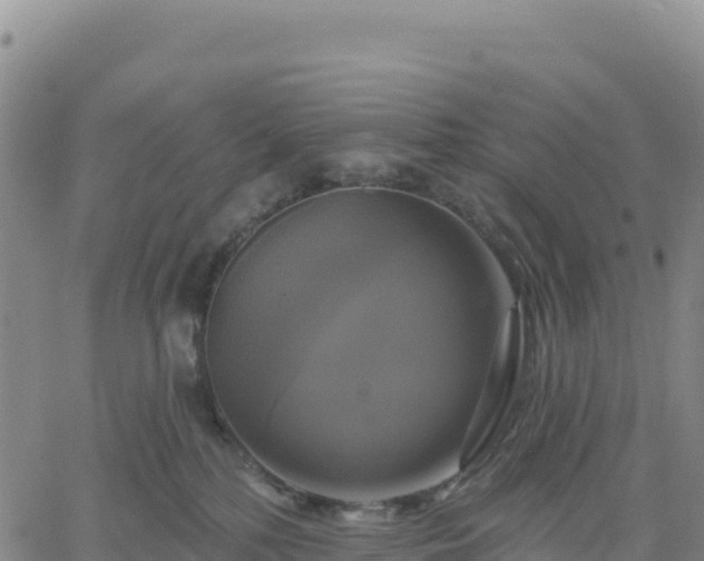 X0000061750232200512091644