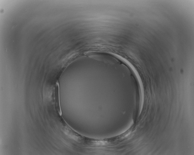 X0000061750233200512091644