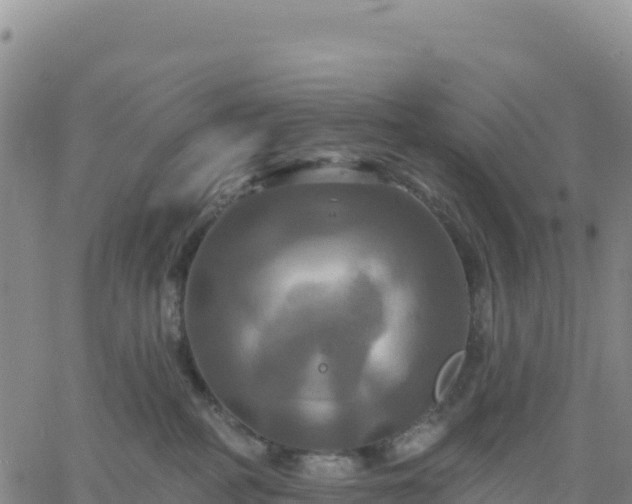 X0000061750234200512091644