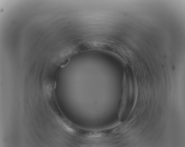 X0000061750235200512091644