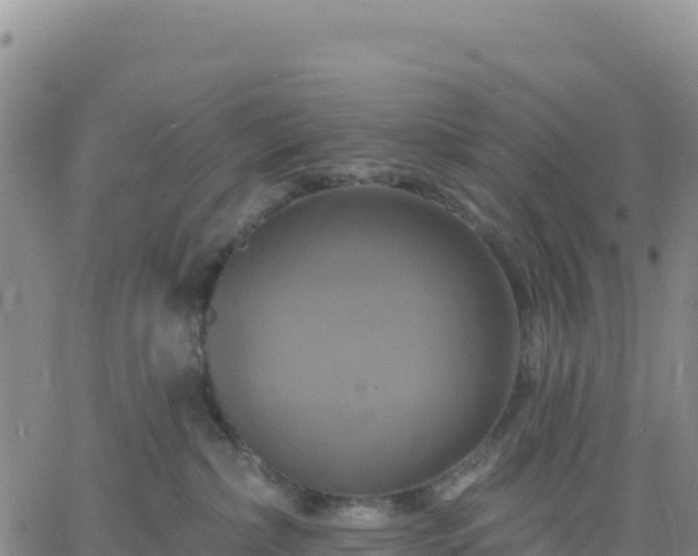 X0000061750236200512091644