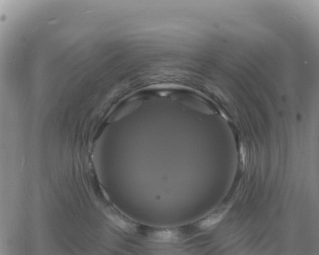 X0000061750237200512091644