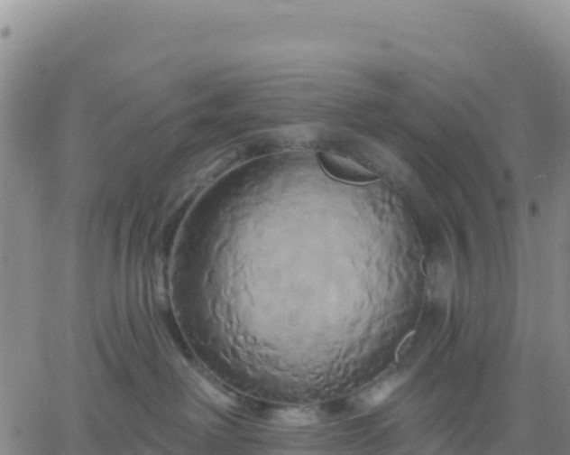 X0000061750238200512091643