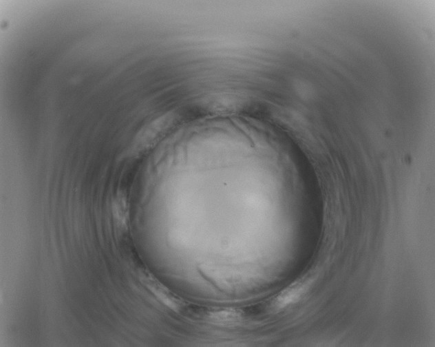 X0000061750240200512091643