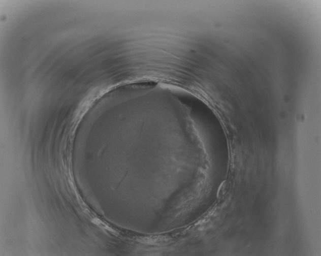 X0000061750241200512091643