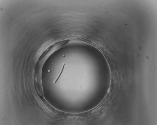 X0000061750242200512091643