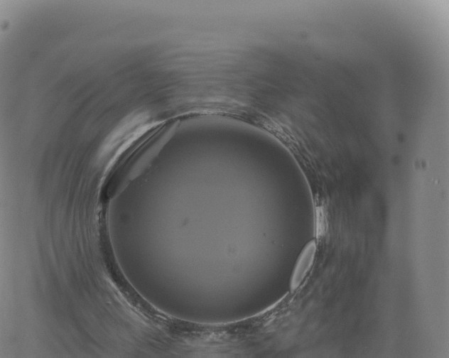 X0000061750243200512091643