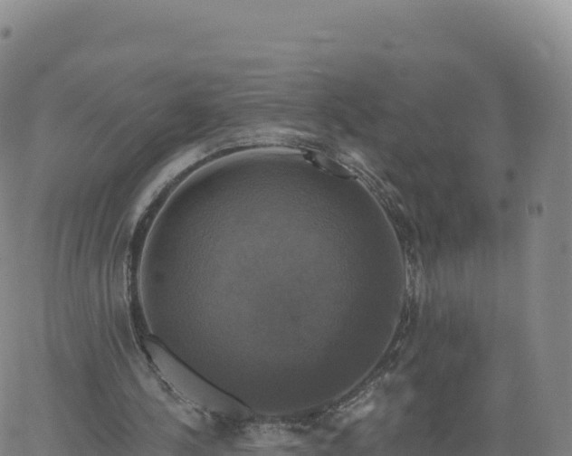 X0000061750244200512091643