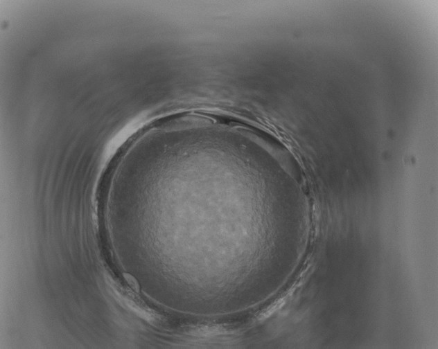 X0000061750246200512091643