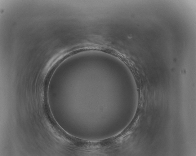 X0000061750247200512091643