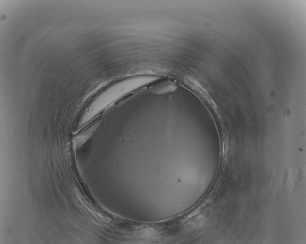 X0000061750249200512091643